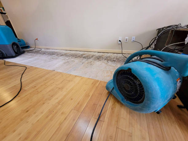 Professional Flood Damage Cleanup technician working in Buena Park, CA